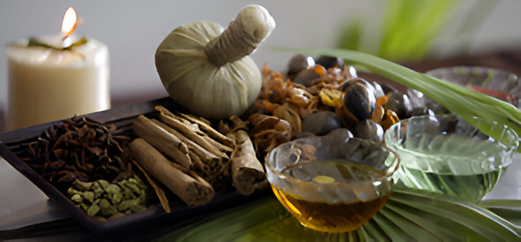 Kerala’s Wellness Tourism