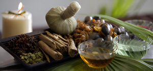 Kerala’s Wellness Tourism